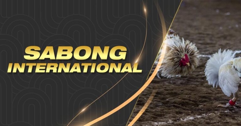 bingo blitz 100 free credits